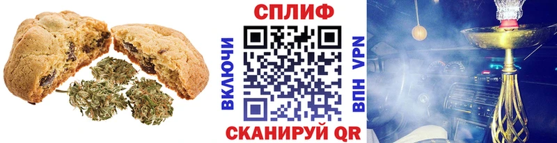 Cannafood конопля Старица