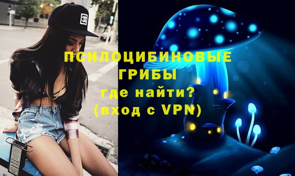 прущие крисы Богородицк