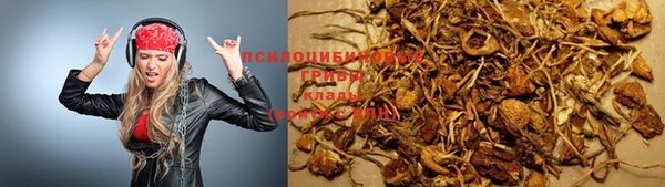 бошки Бугульма