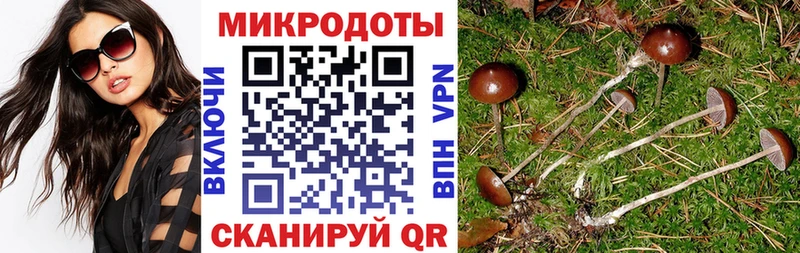 закладки  мега как зайти  Псилоцибиновые грибы GOLDEN TEACHER  Старица 