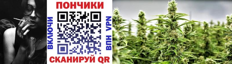 магазин продажи   площадка формула  Марихуана марихуана  Старица 